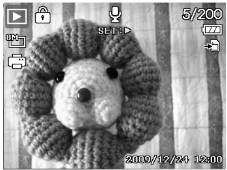 AGFAPHOTO OPTIMA 103 - Lire une note audio - 1