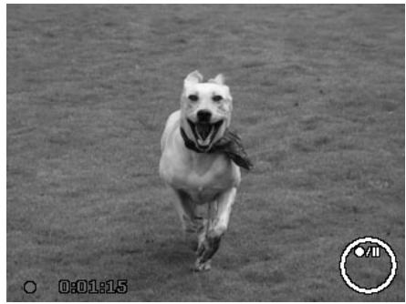 AGFAPHOTO OPTIMA 103 - Enregistrer lesvideos - 1
