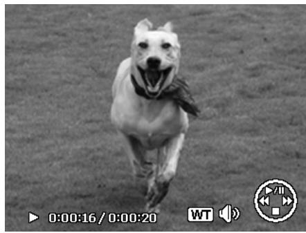 AGFAPHOTO OPTIMA 103 - Lecture de vidéos - 1