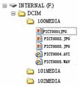 AGFAPHOTO SENSOR 510-X - Structure des dossiers - 1