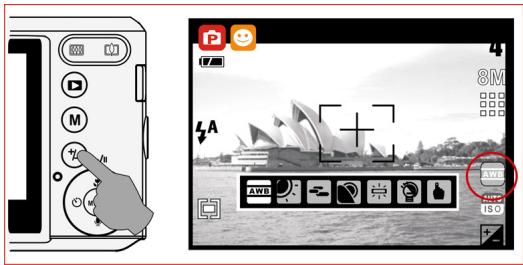 AGFAPHOTO SENSOR 830S_F - Balance des blancs - 1