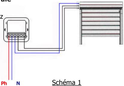 X10 RMV - MONTER - 2