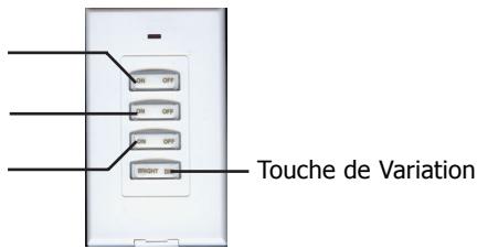 X10 SS13 - LED ROUGE : MARCHE/ARRET/PROGRAMMATION - 1