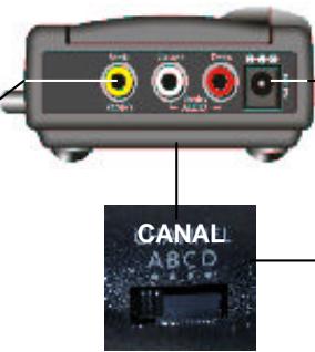 X10 VS400 - Prises de sortie RCA a/v - 1