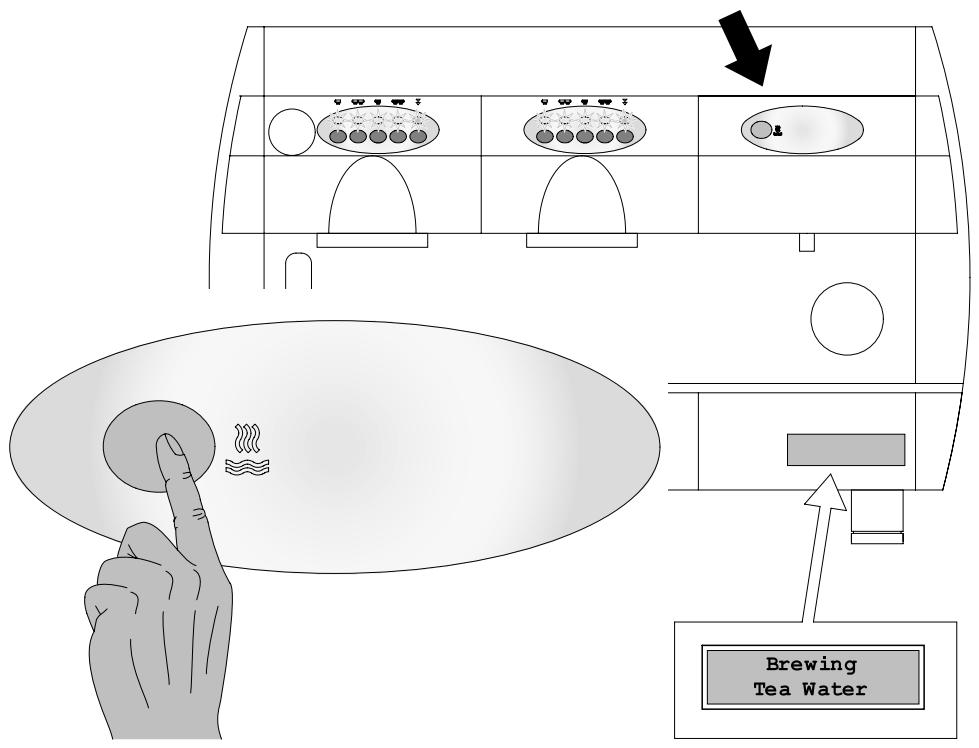 GAGGIA GD - TEA DELIVERY - 2