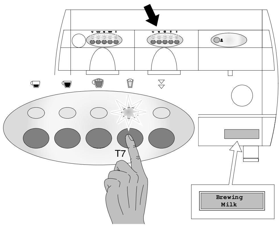 GAGGIA GD - MILK PROGRAMMING AND DELIVERY - 2