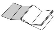 GAGGIA TITANIUM - Using this instruction book - 1