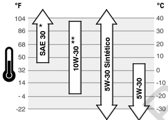 GE 310000  - REVISION B - Recomendaciones de Aceite - 1