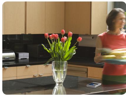 SONOS BU250 - Nouvelles fonctionnalités et nouveaux services de musique avec mises à jour automatiques - 2