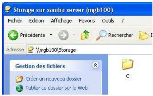 COMET LABS MGB100 - Accès direct via son nom ou son adresse IP - 2