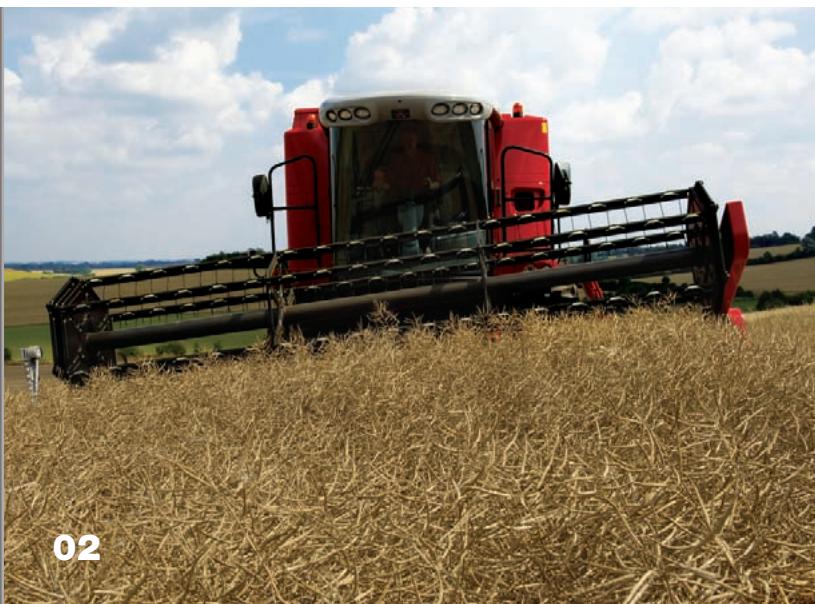 MASSEY FERGUSON 7200 BETA - Auto Level : performance garantie, même en pente - 2