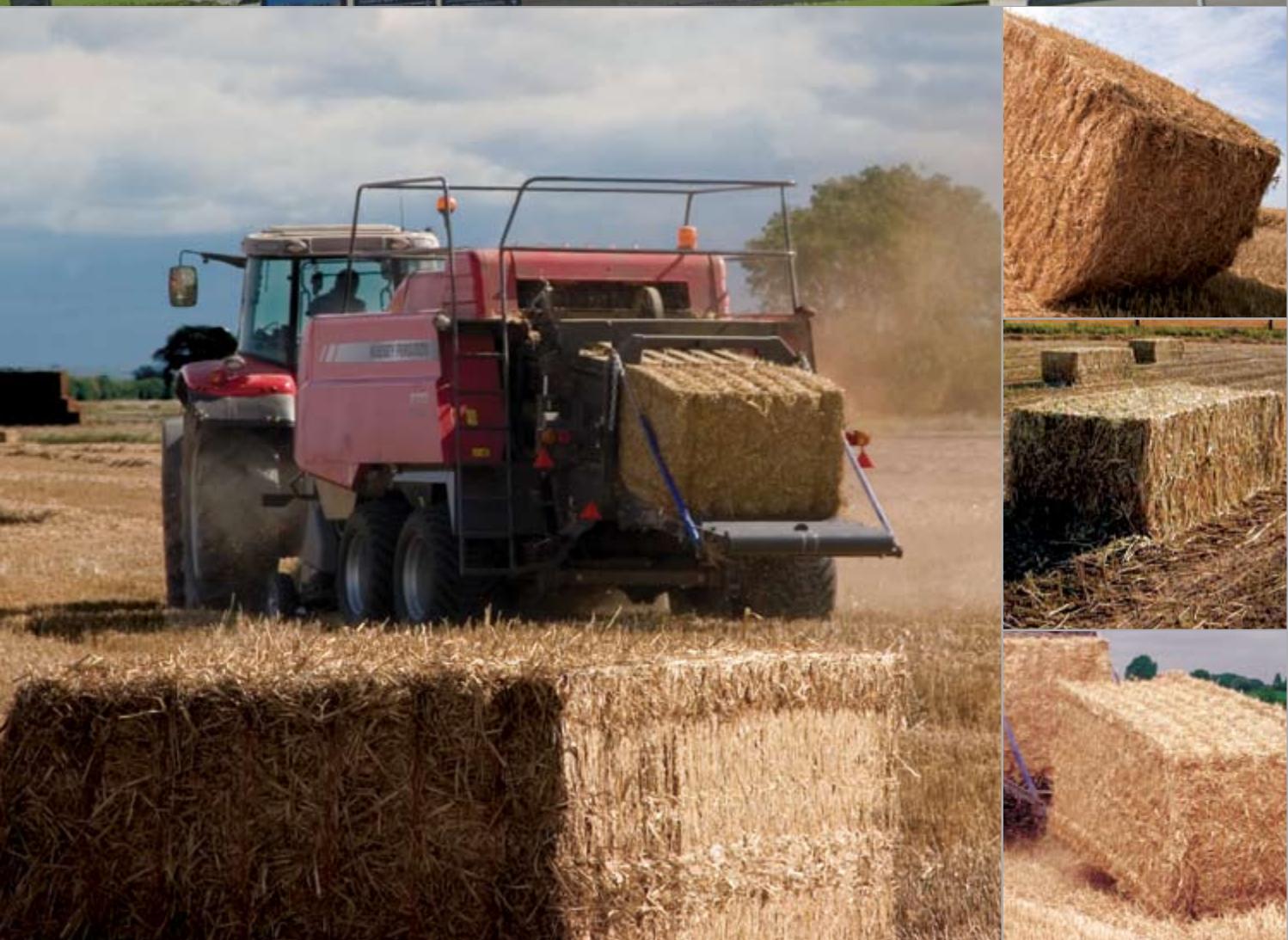 MASSEY FERGUSON 2100 - La puissance à l'etat brut - 2