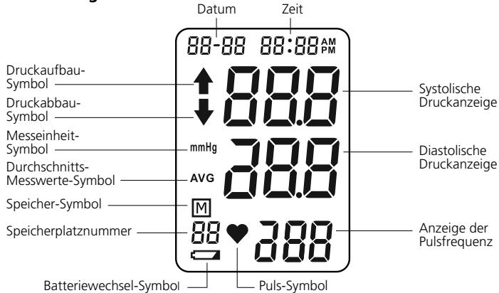 IBP BP 131 - Anzeige / Symbole - 1