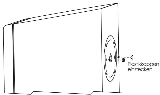 NAIM OVATOR S-600 - Transportschrauben entfernen - 2