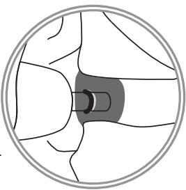 SHURE SE315 - Mise en place des écouteurs - 2