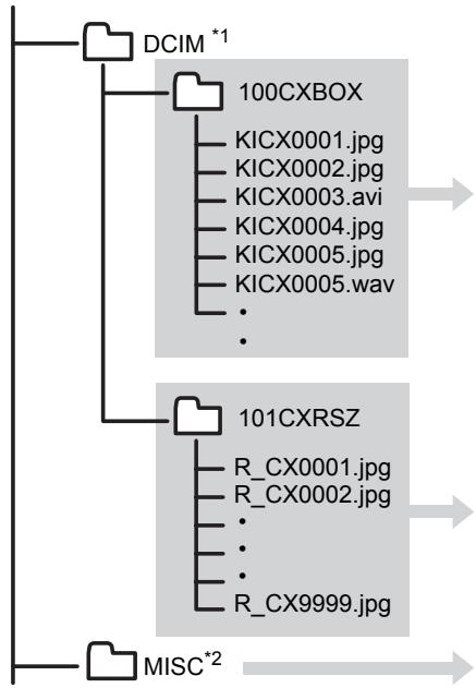 CONTAX U4R - Structure du dossier de la carte mémoire - 1
