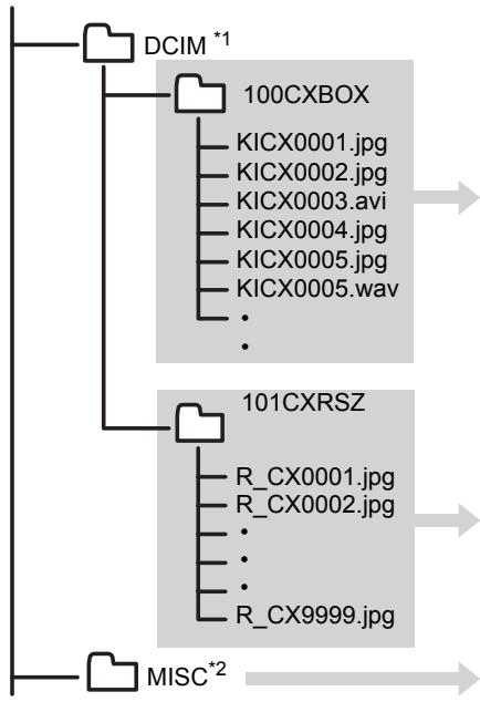 CONTAX U4R - Structure du dossier de la carte mémoire - 1