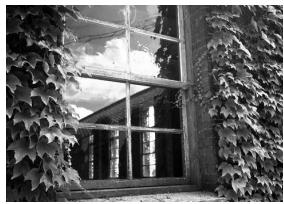 CONTAX U4R - Mode noir et blanc - 1