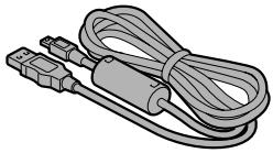 LOGICOM-SANYO XACTI VPC-CA9EX - Vérification de la présence des accessoires inclus - 3