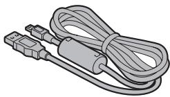 LOGICOM-SANYO XACTI VPC-CG9EX - VÉRIFICATION DE LA PRESENCE DES ACCESSOIRES INCLUS - 2