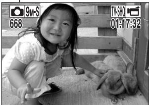 LOGICOM-SANYO XACTI VPC-CG9EX - 2 - 2