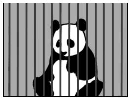 LOGICOM-SANYO XACTI VPC-HD2EX - - Sujets sans lignes verticales - 2