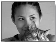 LOGICOM-SANYO XACTI VPC-HD2EX - CONSEIL - 3