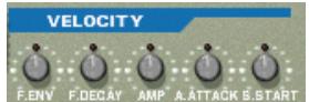 PROPELLERHEAD REASON 2.5 - Velocité - 1