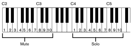 PROPELLERHEAD REASON 2.5 - Mute et Solo - 2
