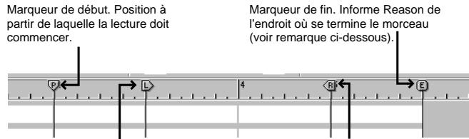 PROPELLERHEAD REASON PRISE - Règle, tête de lecture et Locators - 3
