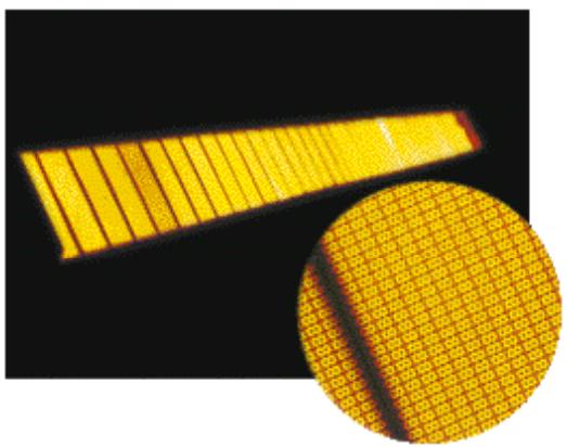 ELECTROLUX LAUNDRY SYSTEMS IC44832 R-LF - Principales options - 4