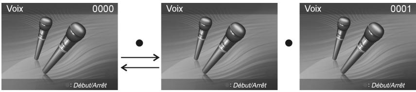 YAKUMO CAMMASTER SD 542 - Démarrer l'enregistrement : - 1