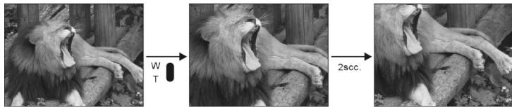 YAKUMO CAMMASTER SD 542 - Début de la capture : - 1