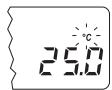 HANNA INSTRUMENTS PH 212 - SOLUTIONS DE NETTOYAGE - 2