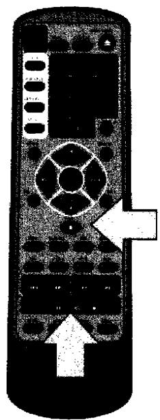 CURTIS DVD1066 - Fonction STOP - 1