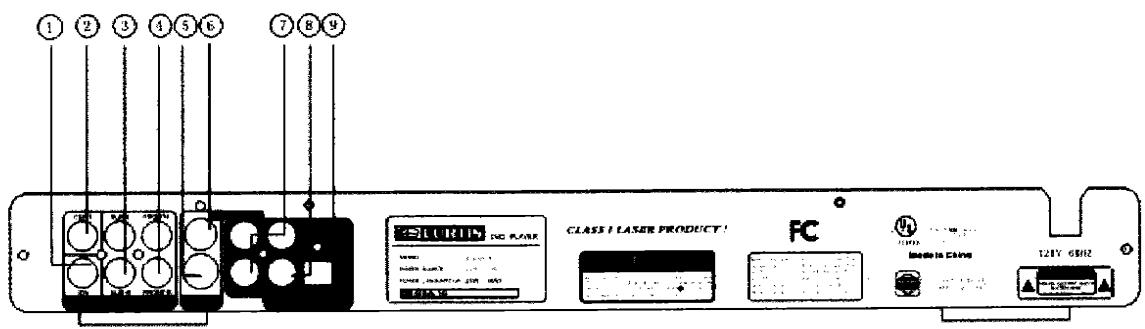 CURTIS DVD1066 - Connexions - 1