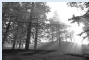 KISS DP-1000 - Lecture de medias - 3