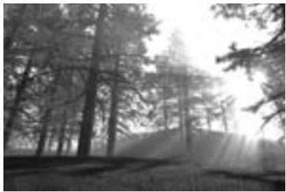 KISS DP-1100 - Affichage d/images Jpeg - 2