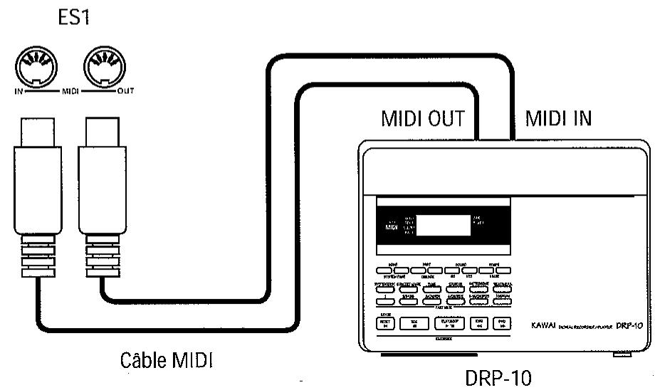 KAWAI ES1 - Connexion à un séquenceur externe ou à un module générateur de sons. - 1