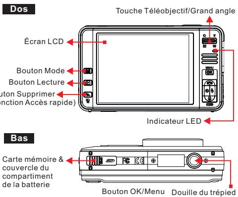 FERRANIA SD-1200 - Présentation générale - 1