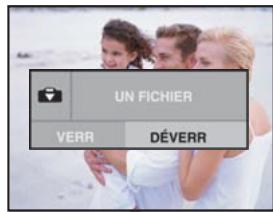 FERRANIA SD-V501 - Affichage de miniatures - 3