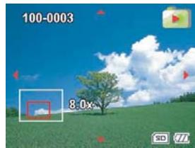 FERRANIA SD-V501 - Lecture en zoom - 1