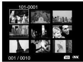 FERRANIA SD-V501 - Affichage de miniatures - 1