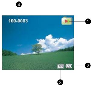 FERRANIA SD-V501 - Lecture de photo - 1
