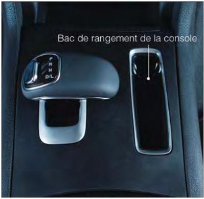 DODGE CHARGER - MISE EN GARDE! - 1