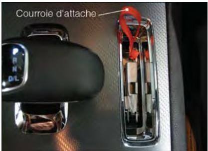 DODGE CHARGER - MISE EN GARDE! - 2