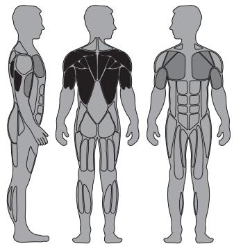 CYBEX INTERNATIONAL 12111 FLY - Instructions - 1