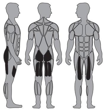 CYBEX INTERNATIONAL 12170 GLUTE - Instructions - 1