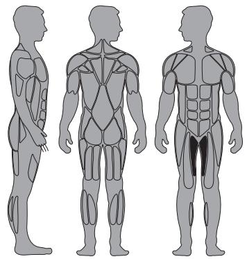 CYBEX INTERNATIONAL 12210 HIP ADDUCTION - Instructions - 1