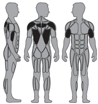 CYBEX INTERNATIONAL 13030 ROW-REAR DELT - Instructions - 1